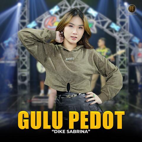 Gulu Pedot album art