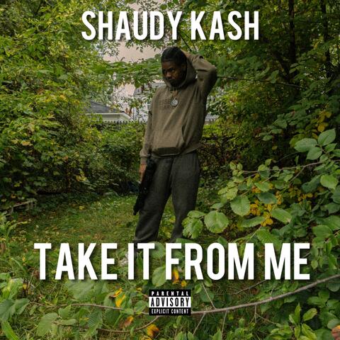 Take It From Me album art