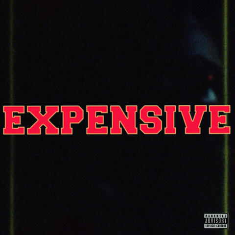 EXPENSIVE album art