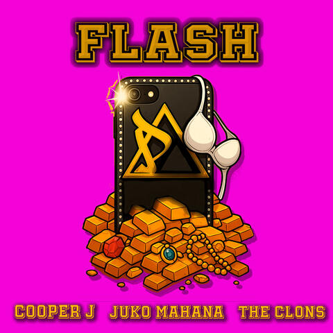 FLASH album art