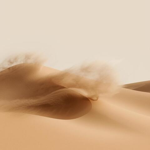 Wind blown sand album art