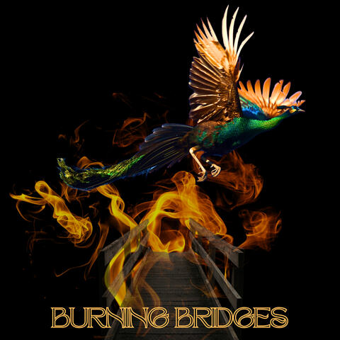 Burning Bridges album art