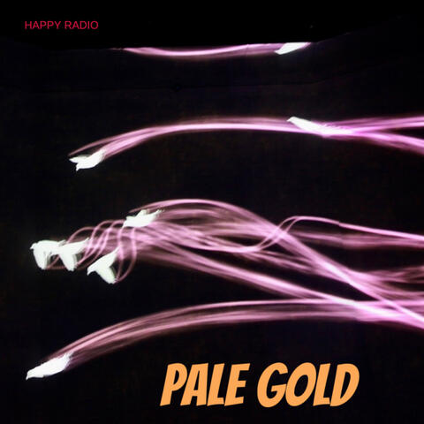 Pale Gold album art