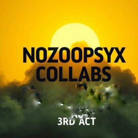 NOZOOPSYX COLLABS:3RD ACT album art