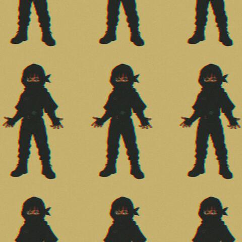 Ninja album art
