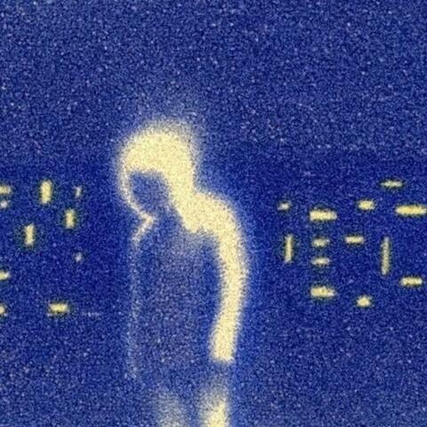 D.L.U album art
