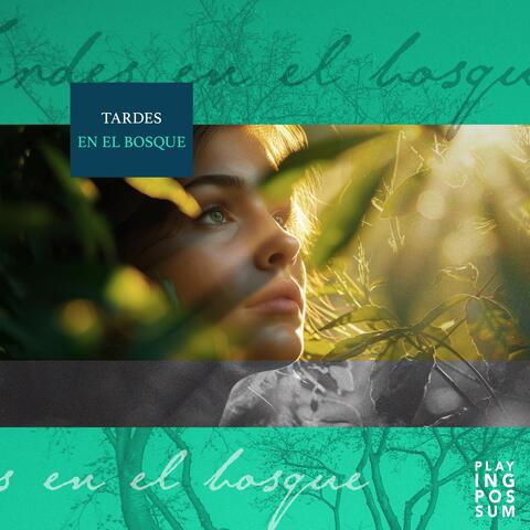 Tardes en el bosque album art