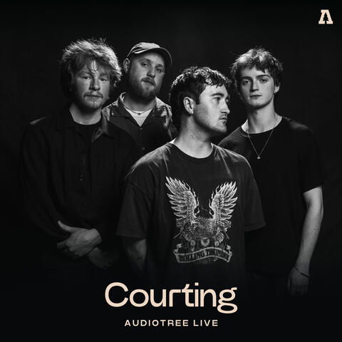 Courting on Audiotree Live album art