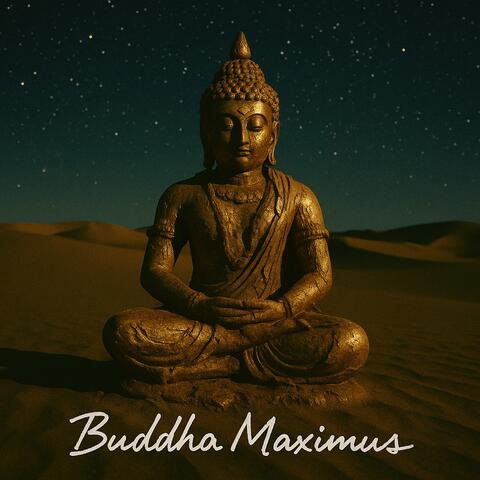 अनात्मन् album art