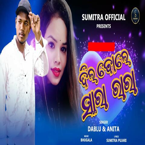 Dil Bole Sara Rara album art