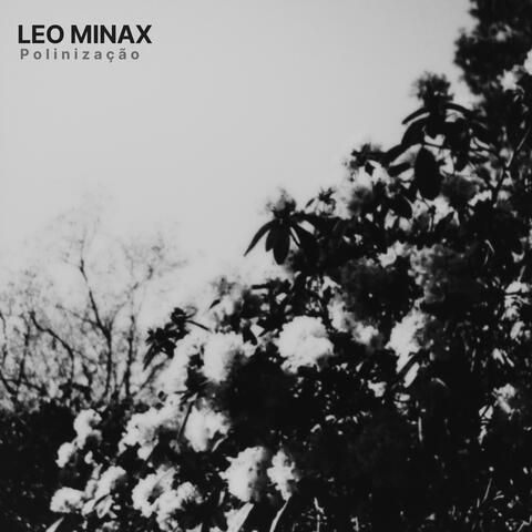 Polinização album art