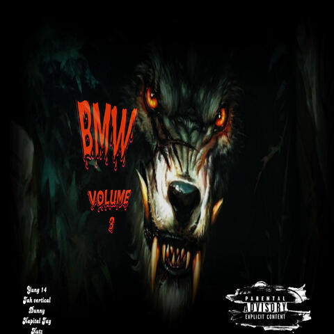 BMW Volume 3 album art