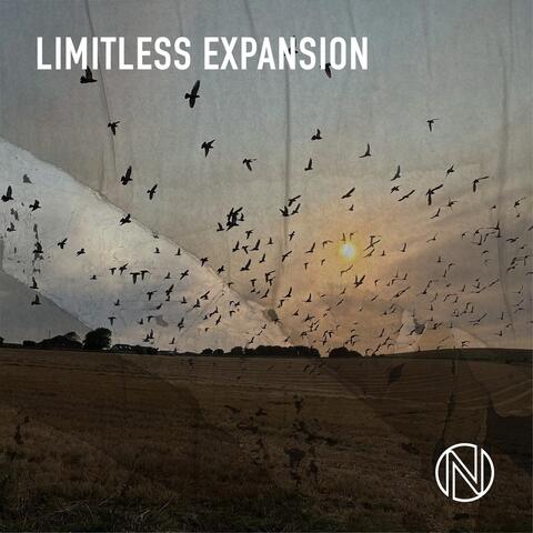 Limiltess Expansion album art