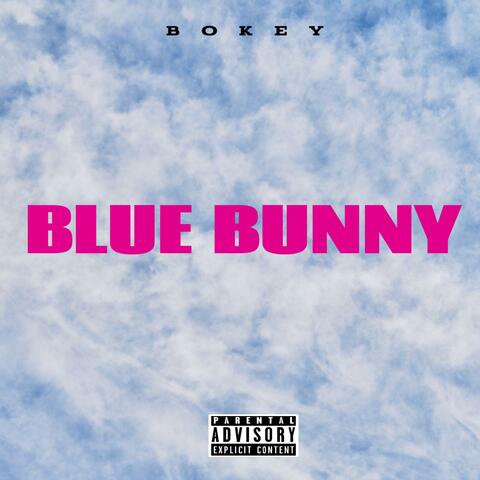 Blue Bunny album art