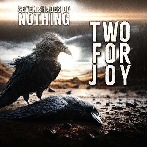 Two For Joy album art