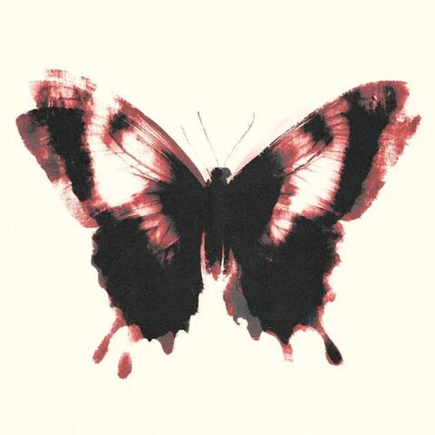 Liberte-se da dor album art