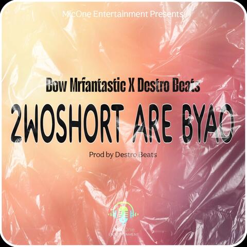 2woShort Are Byao album art