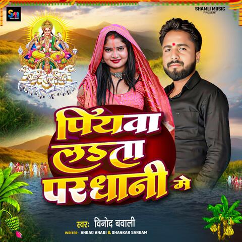Piyawa Ladata Pardhani Mein album art