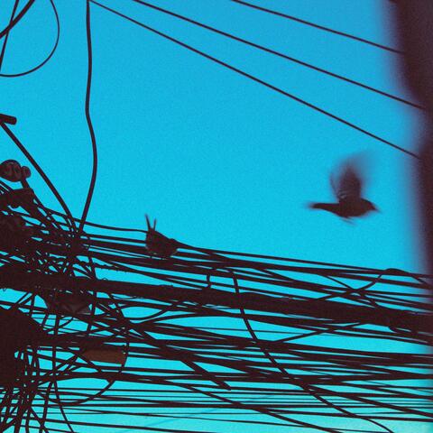 Selva Urbana album art