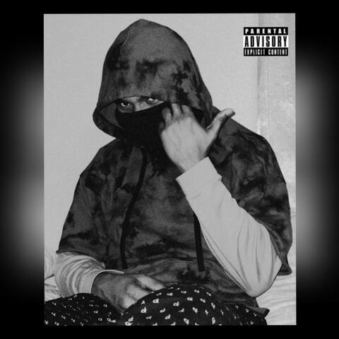 MI$A VOORHEES $ PT 2 album art