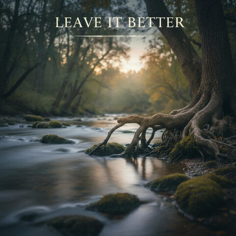 Leave It Better album art