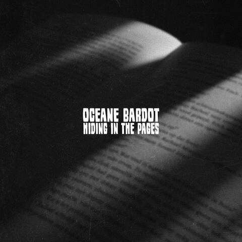 Hiding in the pages album art