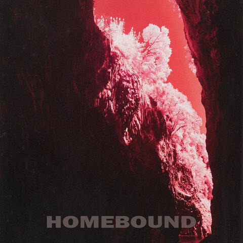 Homebound album art
