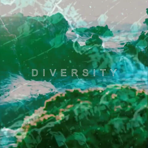 Diversity album art