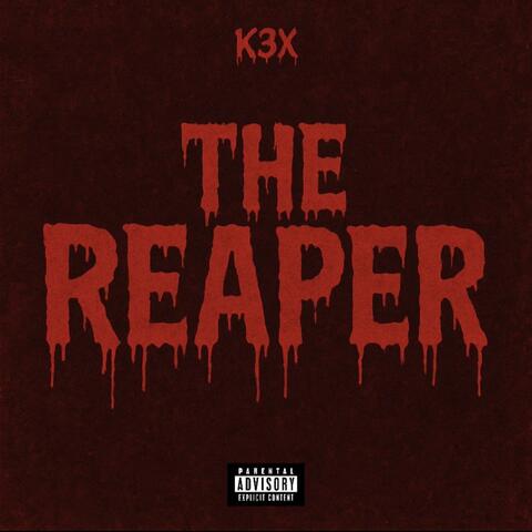 REAPER album art