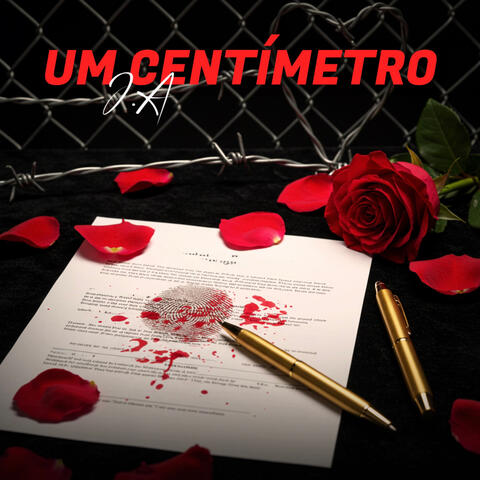UM CENTÍMETRO album art