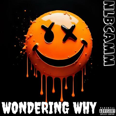 Wondering Why album art