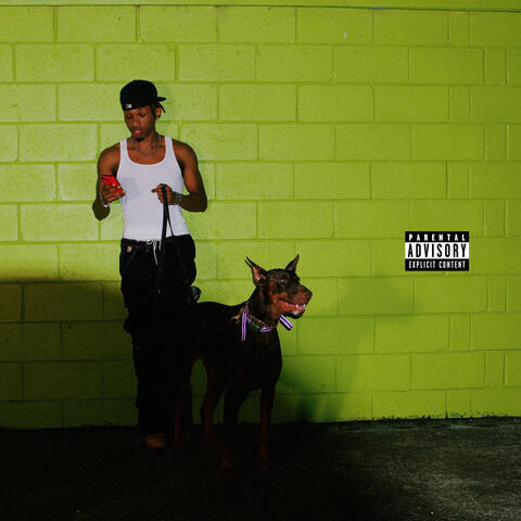 SAFE TO SAY album art