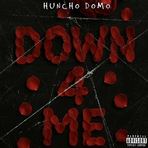 DOWN 4 ME album art