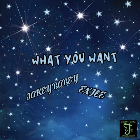 WHAT U WANT album art