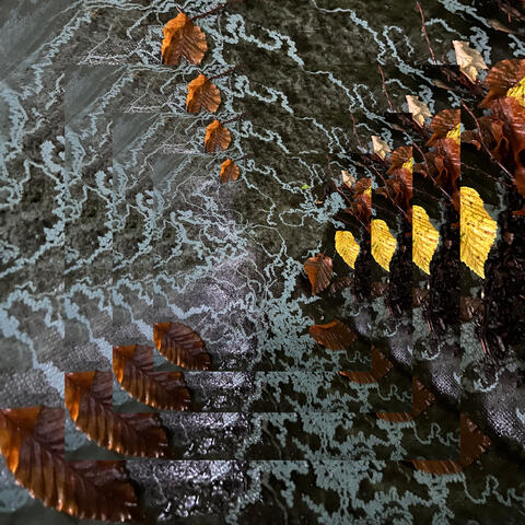 Quiet Reflections album art