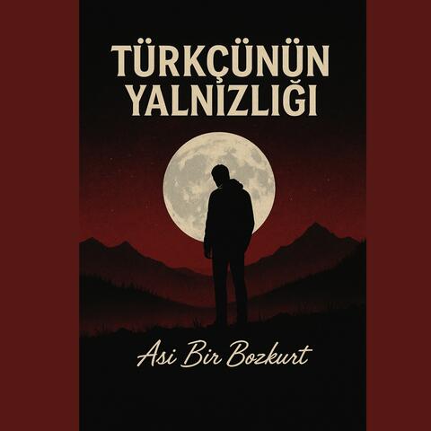 Türkçünün Yalnızlığı album art