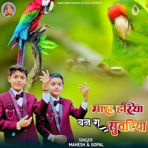 Mara Hariya Van Ra Suvtiya album art