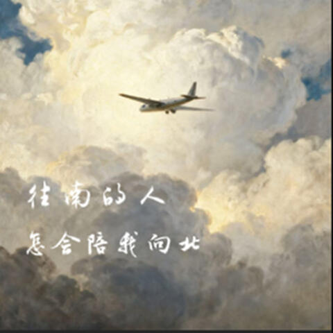 往南的人怎会陪我向北 album art