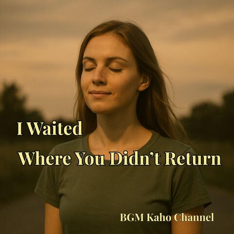 I Waited Where You Didn’t Return album art