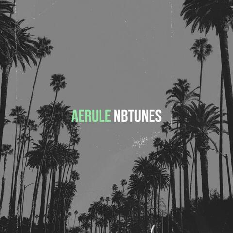 Aerule album art