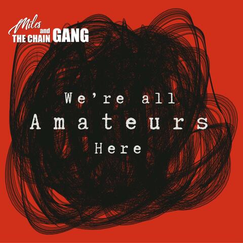 We're All Amateurs Here album art