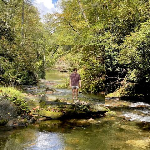 Cardboard Canvas album art