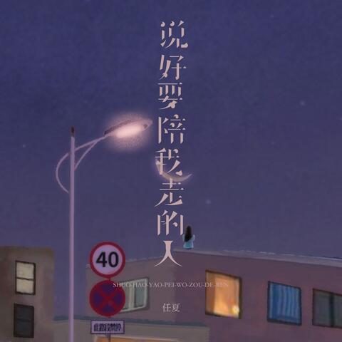 说好要陪我走的人 album art