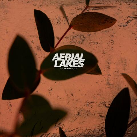 852 Hz Absorbance album art