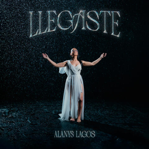 Llegaste album art