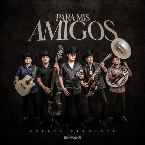 Para Mis Amigos album art