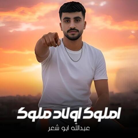 Amiluk Awlad Muluk album art