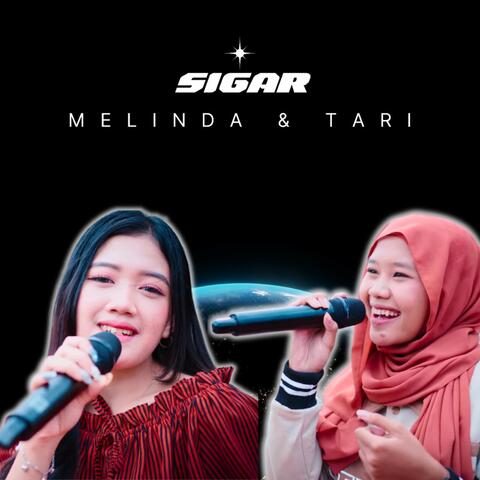 Sigar album art