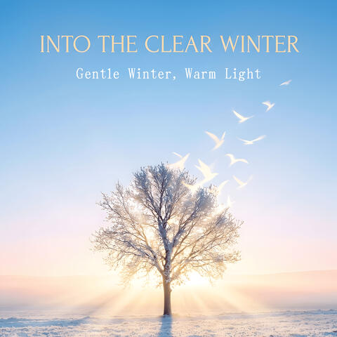 Into the Clear Winter – Gentle Winter, Warm Light album art