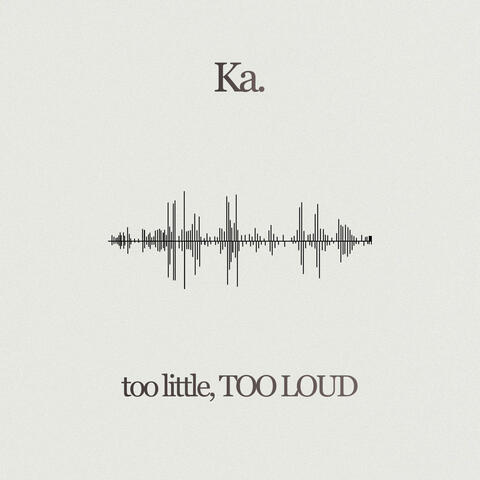 too little, TOO LOUD album art